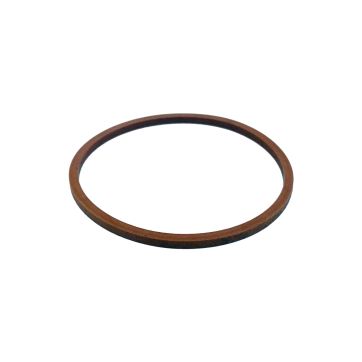 Ronvik gasket